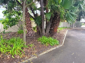 Familiekamer | Barbecue/picknickplaats