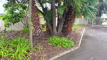 Familiekamer | Uitzicht op de tuin