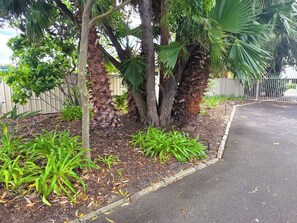 Family Room | Garden view