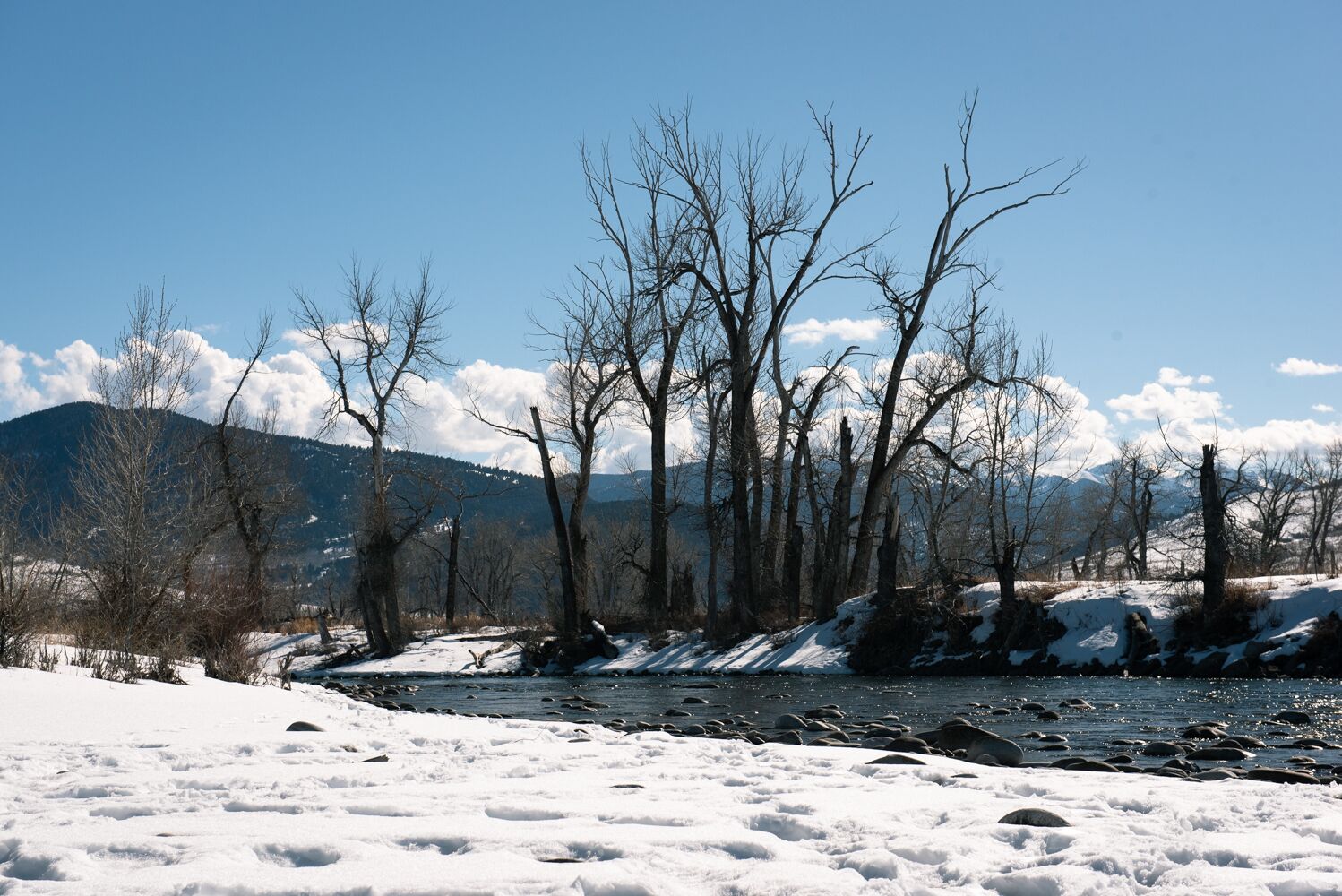 Un paisaje nevado con un río, árboles y montañas al fondo.