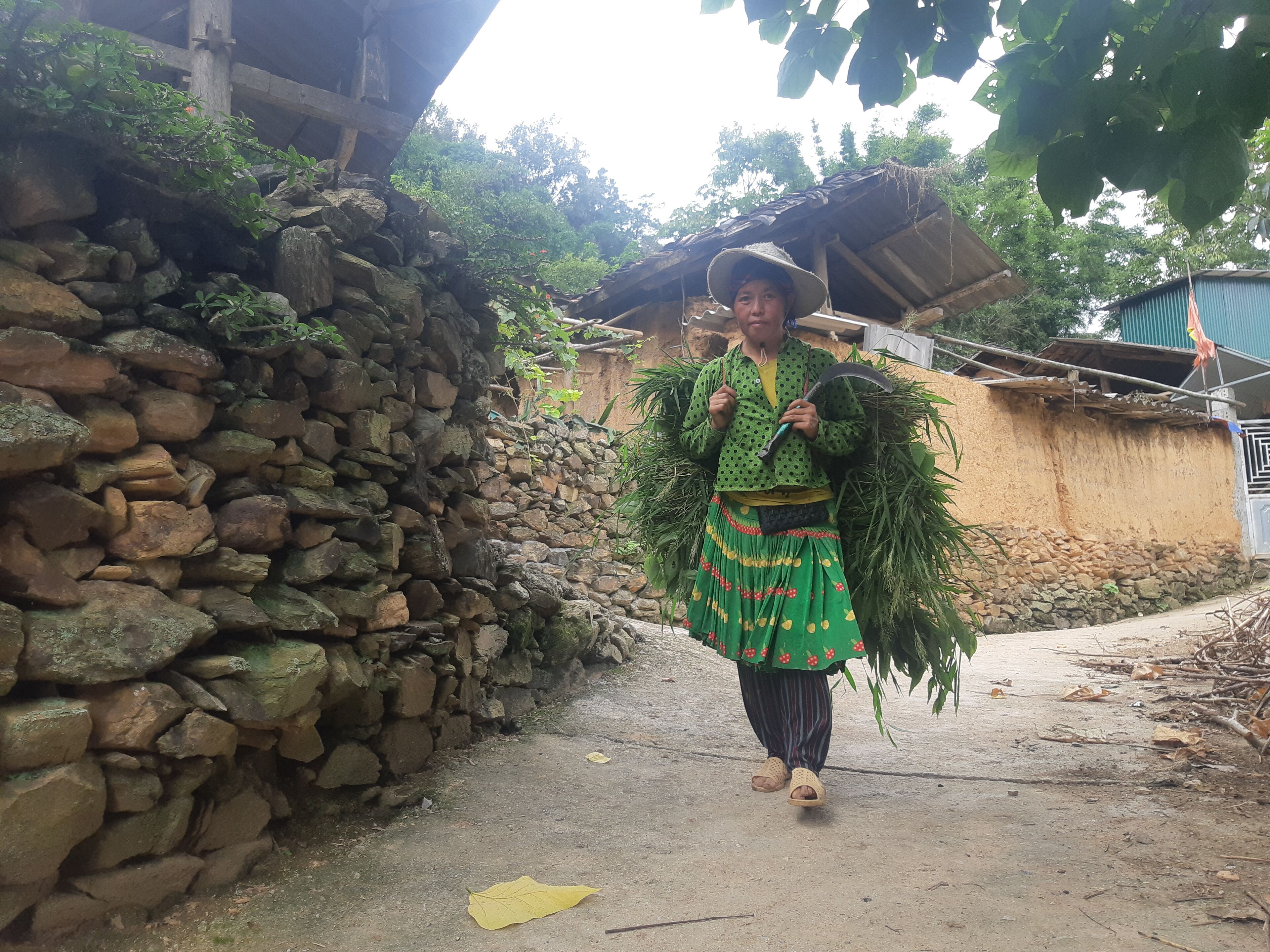 A person carrying a bundle of plants, walking past a stone wall.