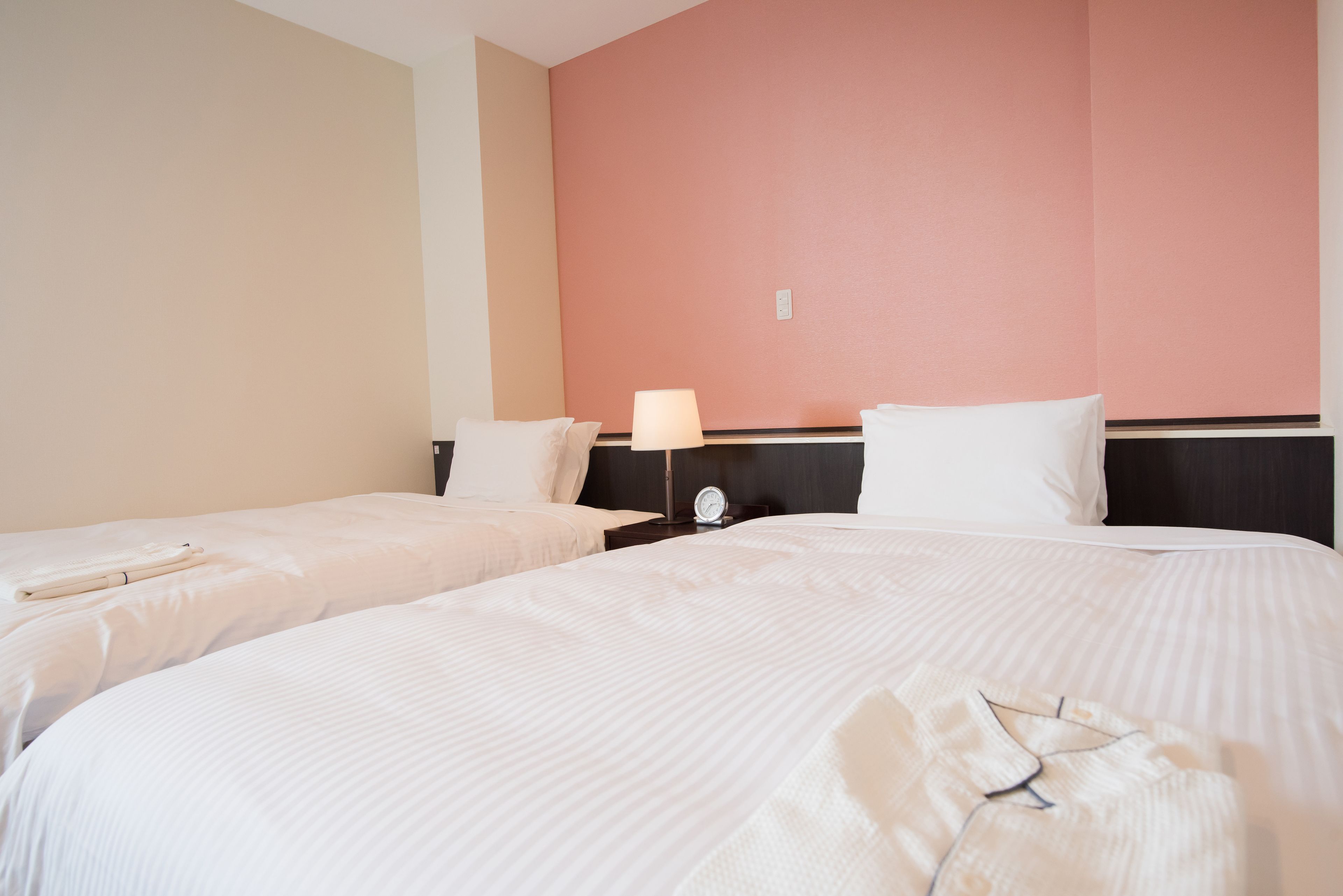 twin room, non smoking | 1 bedroom, down duvets, desk, laptop workspace