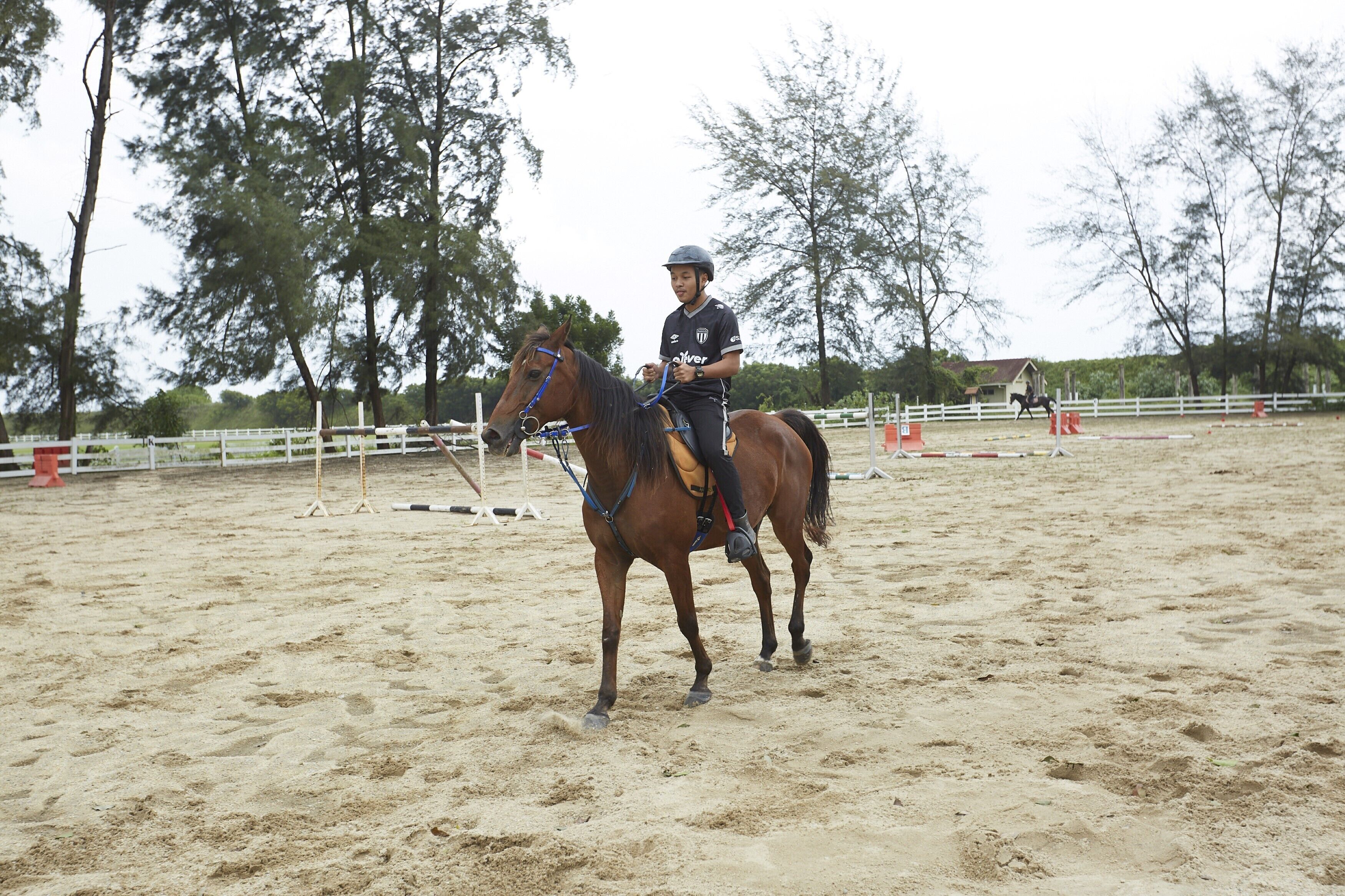 Una persona cavalca un cavallo in un'arena coperta con pavimento sabbioso, circondata da alberi e una recinzione bianca.