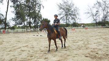 Una persona cavalca un cavallo in un'arena coperta con pavimento sabbioso, circondata da alberi e una recinzione bianca.