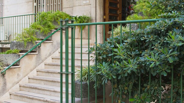 Un edificio con una escalera que lleva a una puerta, rodeado de follaje y una barandilla metálica.