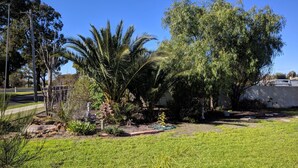 Um jardim bem cuidado, com diversas plantas e gramado.