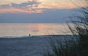 Guests can relax on the sandy shore, surrounded by natural vegetation and gentle waves.