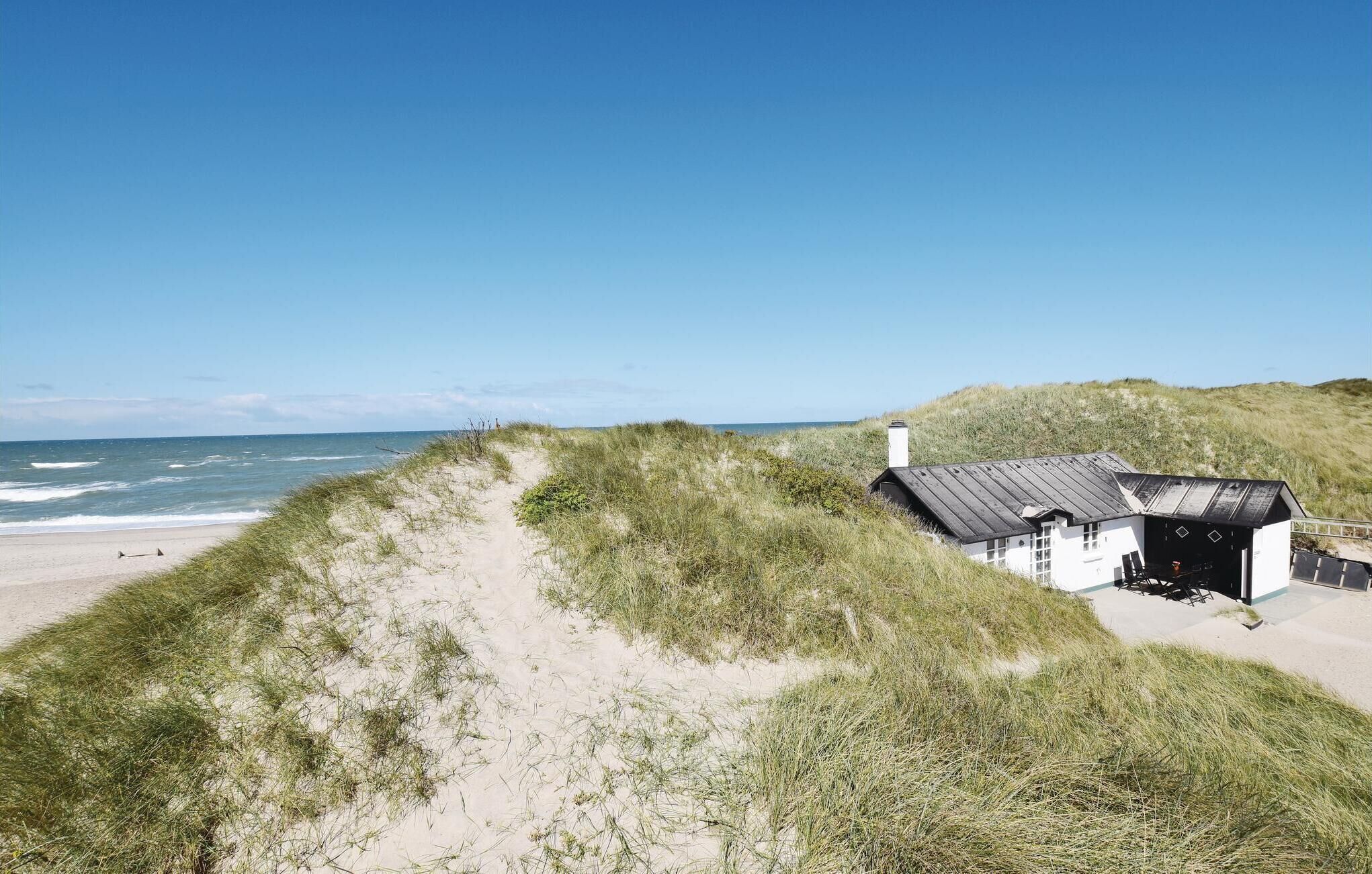 ビーチの近く、釣り