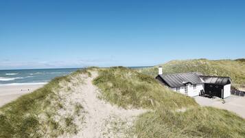 Tæt på stranden, fiskeri