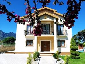 Dış mekân