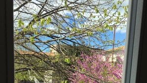 A view from a window overlooking a street with a tree displaying pink blossoms. - Bisos Ospitalità diffusa eco-sostenibile (Paulilatino)