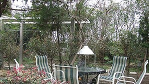 A patio area with two striped chairs and a table, surrounded by greenery and a pergola. - Duan Yuan Homestay (Lukang)