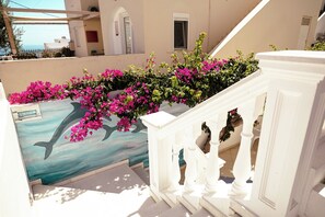 Μια σκάλα με λευκά κάγκελα, ένα μπαλκόνι στολισμένο με ροζ λουλούδια και μια τοιχογραφία που απεικονίζει ένα δελφίνι.
