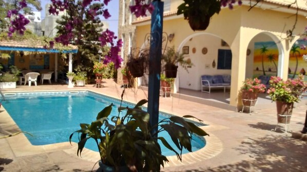 Outdoor pool, pool umbrellas, pool loungers
