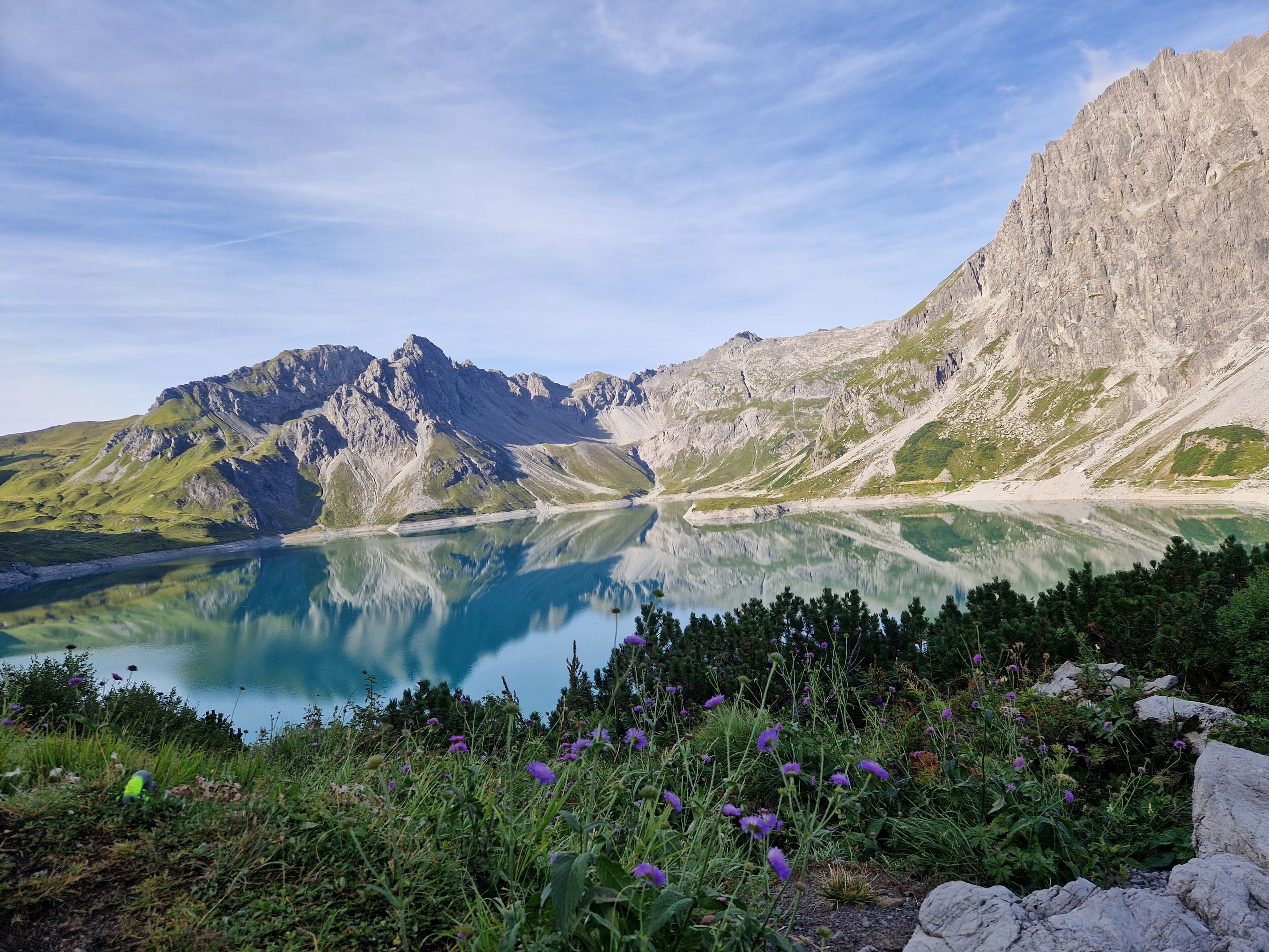 Un paisaje montañoso con un lago tranquilo, terreno rocoso y flores silvestres.