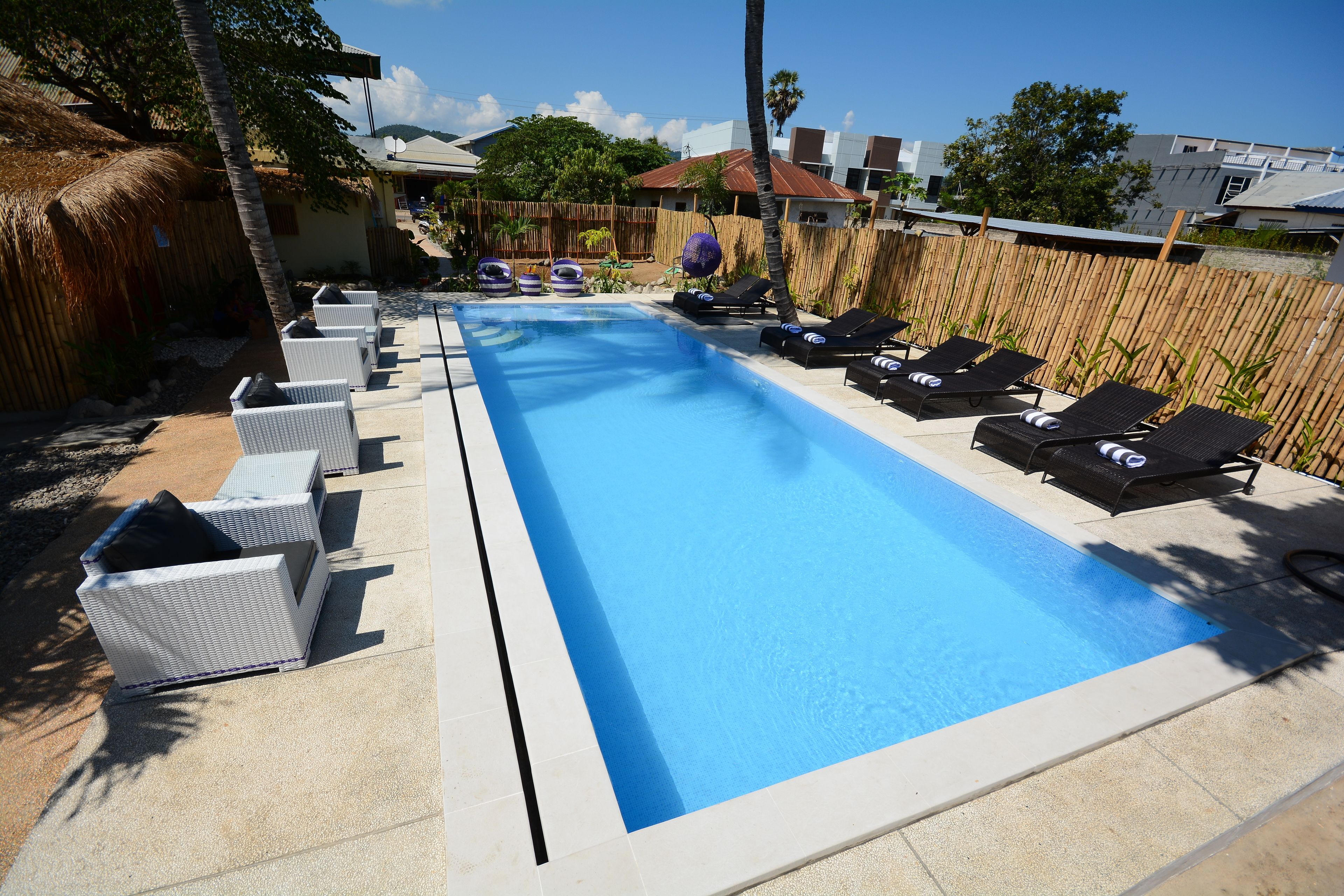 Una piscina rectangular con sillas de descanso y una valla de bambú al fondo.