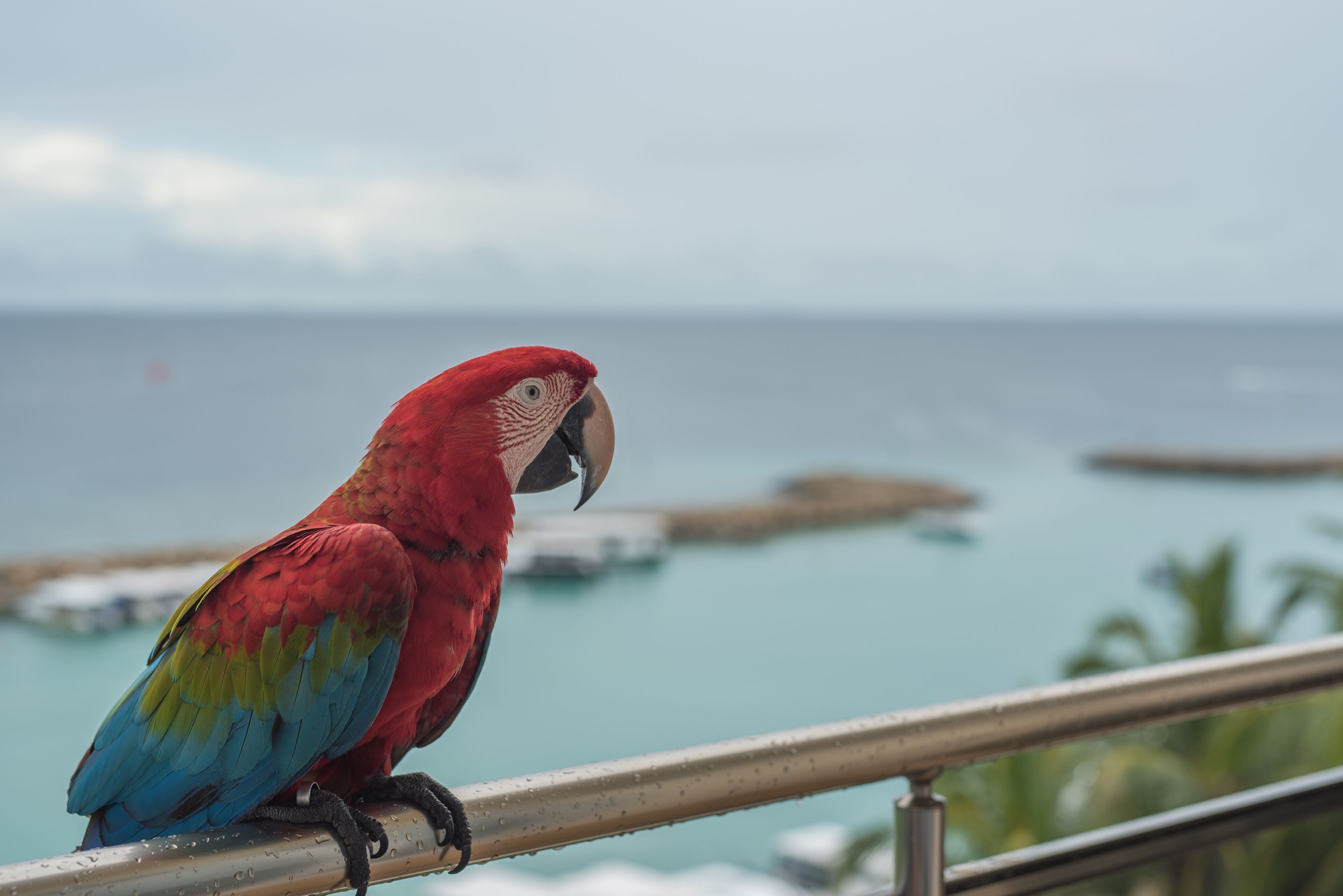 Photo - iCom Marina Sea View