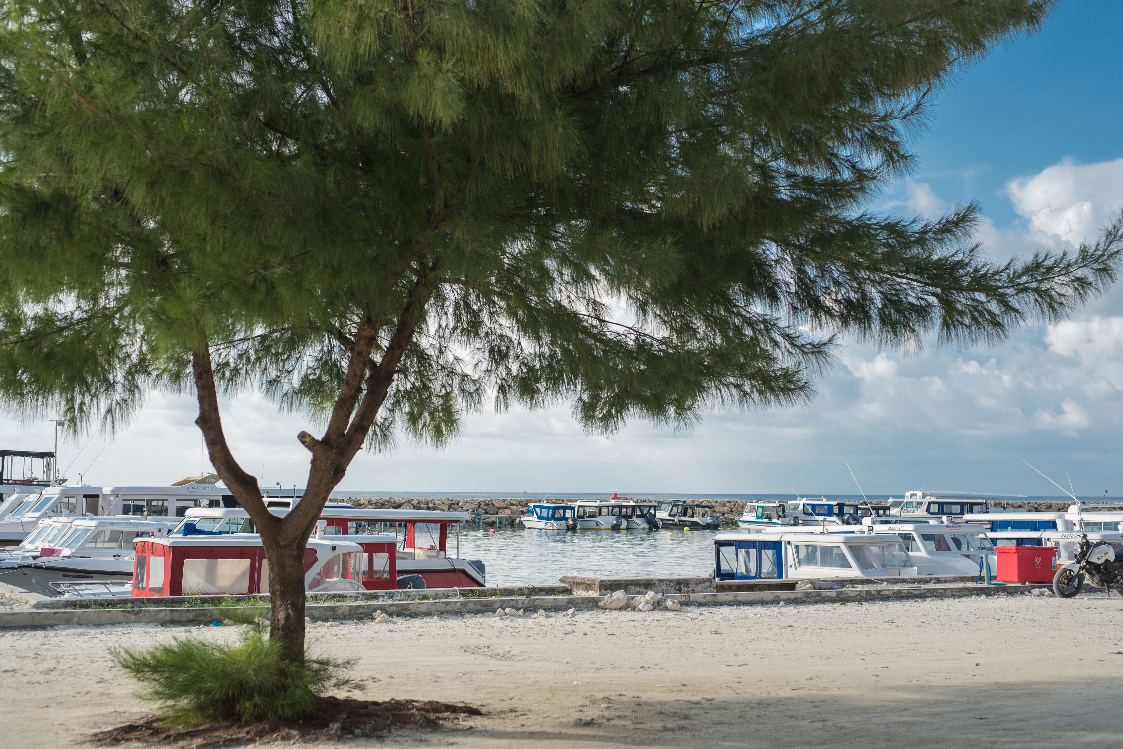 Photo - iCom Marina Sea View