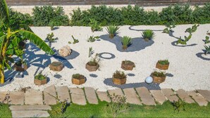 A garden with various plants and a stone pathway. - Melus Maris (Syracuse)
