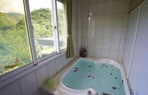 Shower, free toiletries, hair dryer, slippers