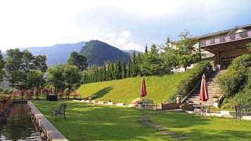 Vista al jardín