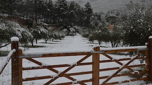 Un portail enneigé qui mène à une région montagneuse bordée d’arbres.
