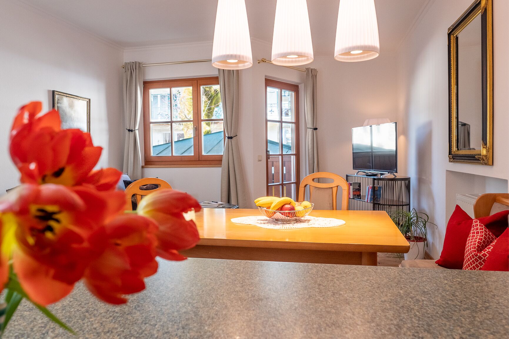 apartment | living area | 49-inch flat-screen tv with cable channels, tv