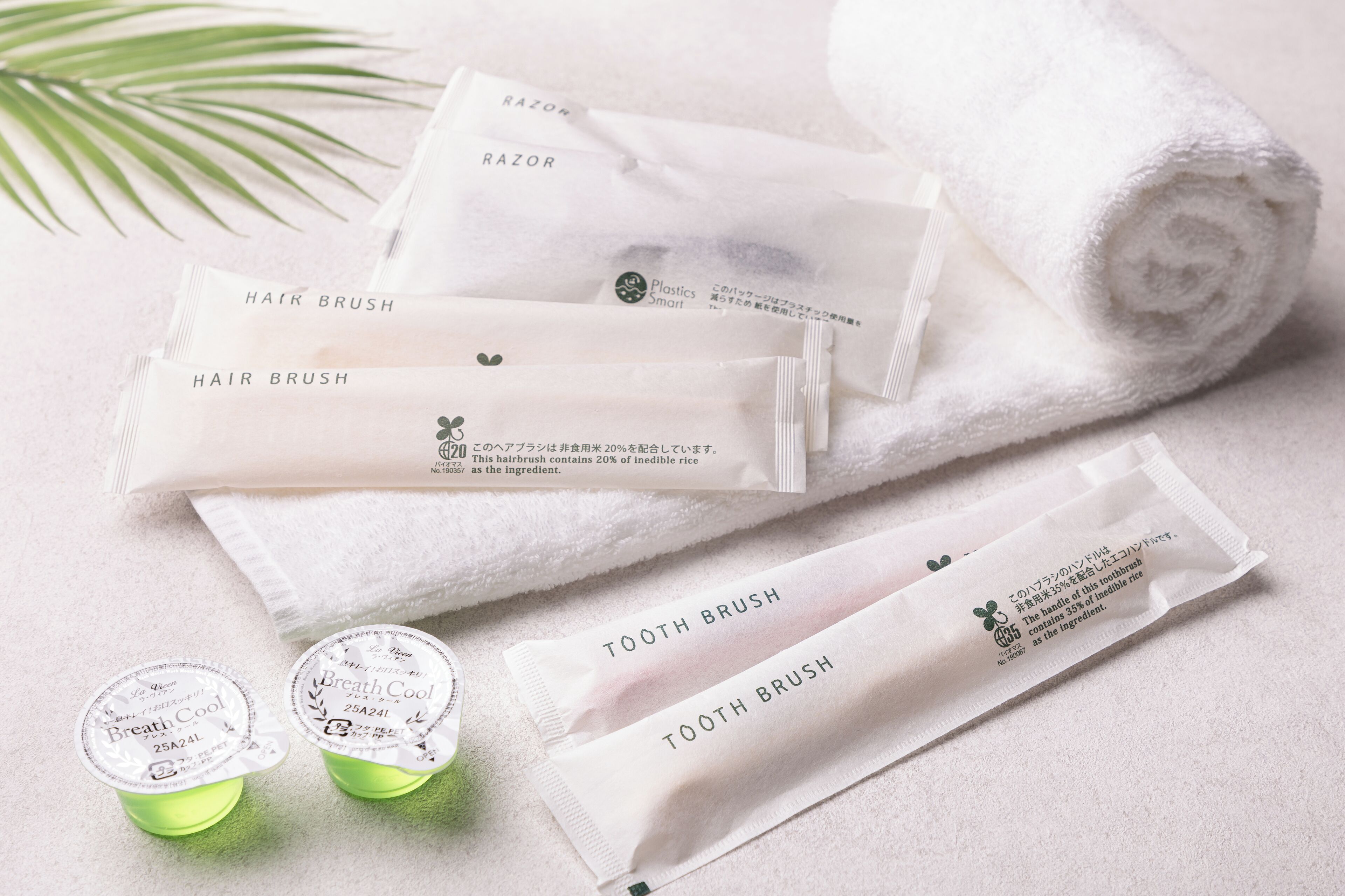 combined shower/bathtub, hair dryer, slippers, bidet