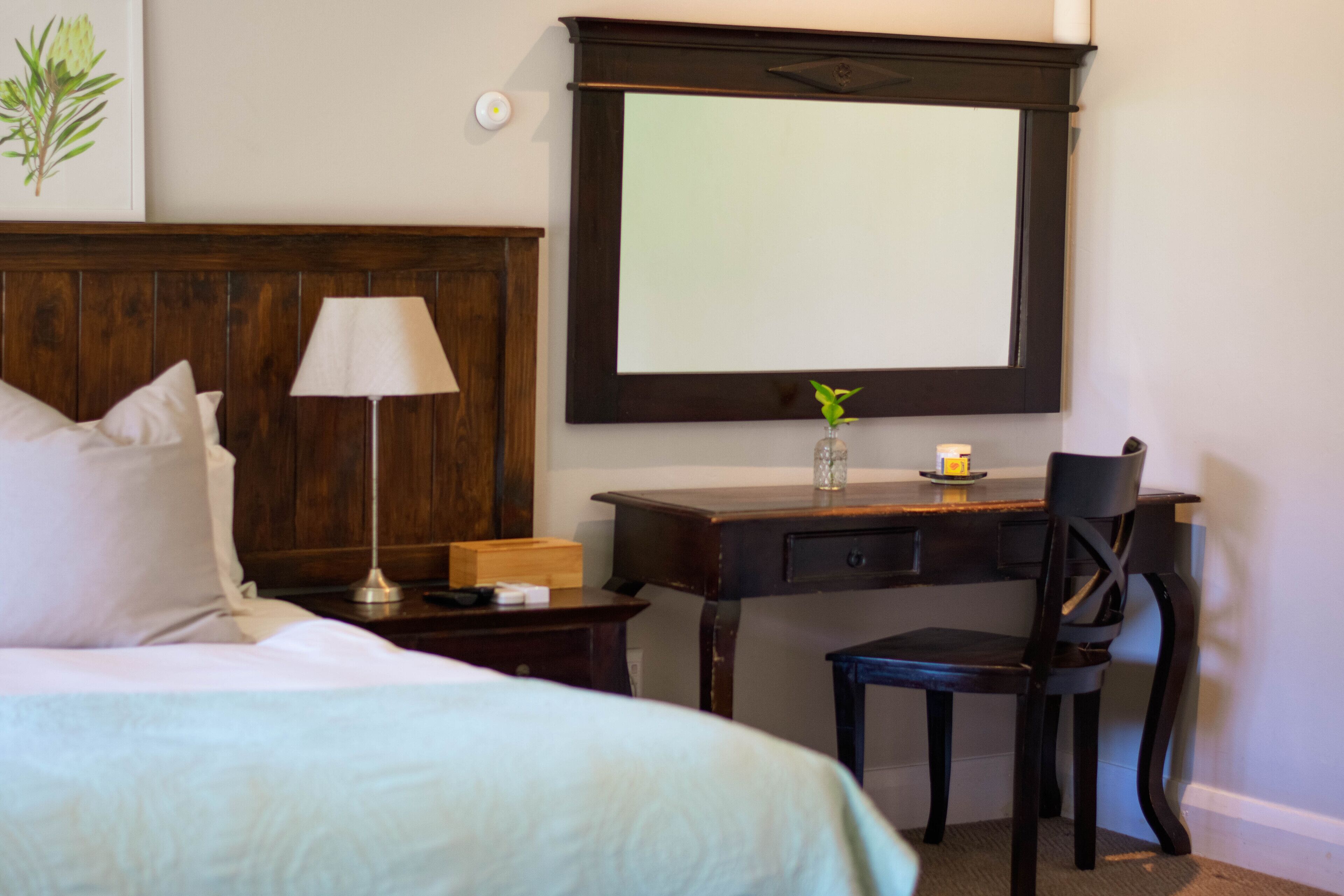 A hotel room with a bed, a desk, a chair, a lamp, a mirror, and a small plant.