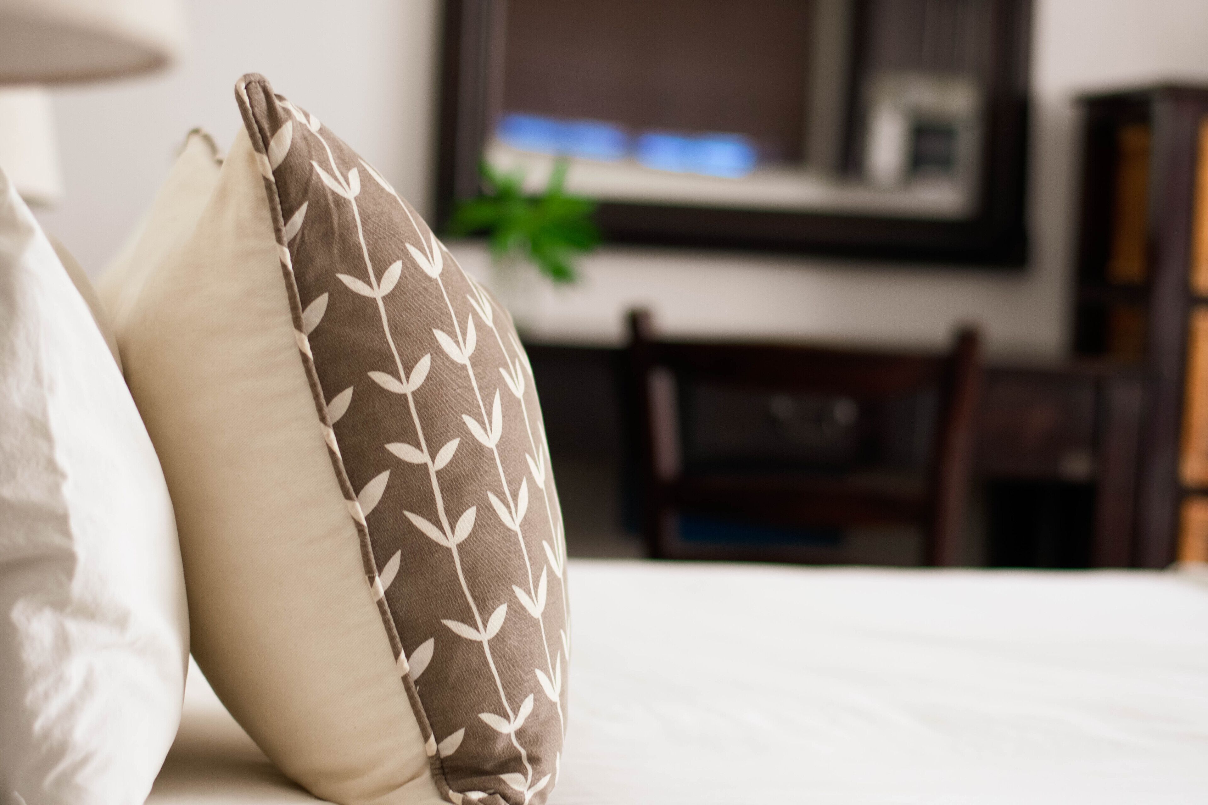 A bed with pillows, a chair, and a plant in a room with a window and a mirror.