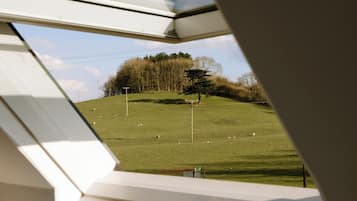 A view through a window of a grassy field with a few sheep, a tree, and a telephone pole.