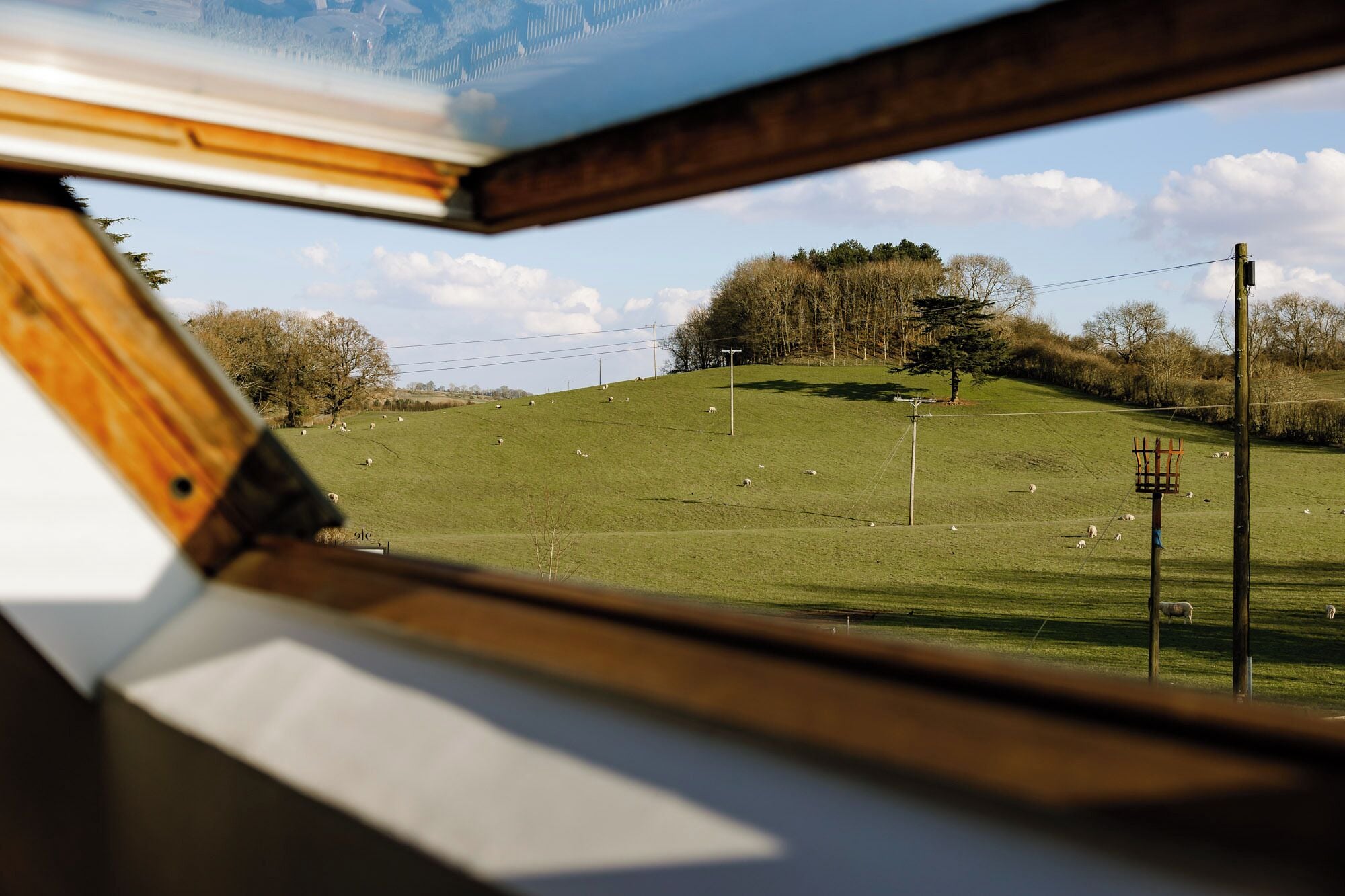 Une vue depuis une fenêtre donnant sur un champ verdoyant, avec quelques arbres et une structure en bois au premier plan.