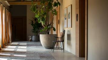 Un couloir avec une grande plante en pot, une chaise et des tableaux encadrés accrochés au mur.