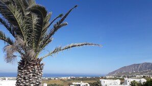 A palm tree in the foreground with a coastal town and a mountain in the background. - Maistrali Prive (Santorini)