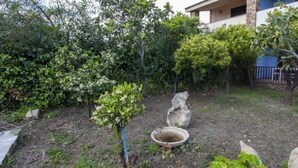 A garden with various plants and a stone basin. - Residence La Cinta 6 (San Teodoro)