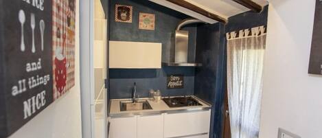Apartment, 1 Bedroom | Private kitchenette | Full-sized fridge, stovetop, cookware/dishes/utensils
