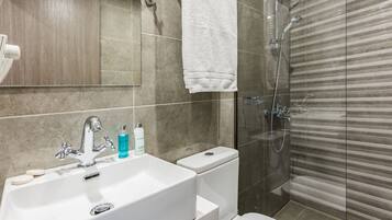 SĂšche-cheveux, chaussons, serviettes fournies, papier toilette