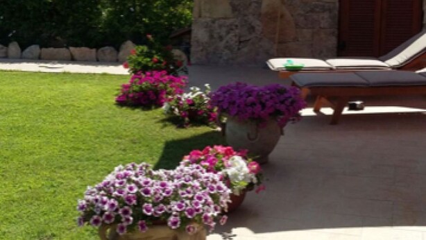 Garden - Delfino House (San Teodoro)