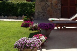 Garden - Delfino House (San Teodoro)
