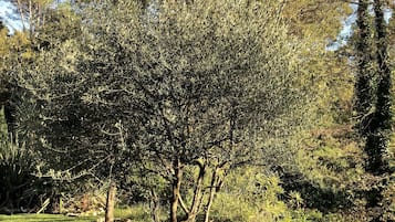 Exterieur