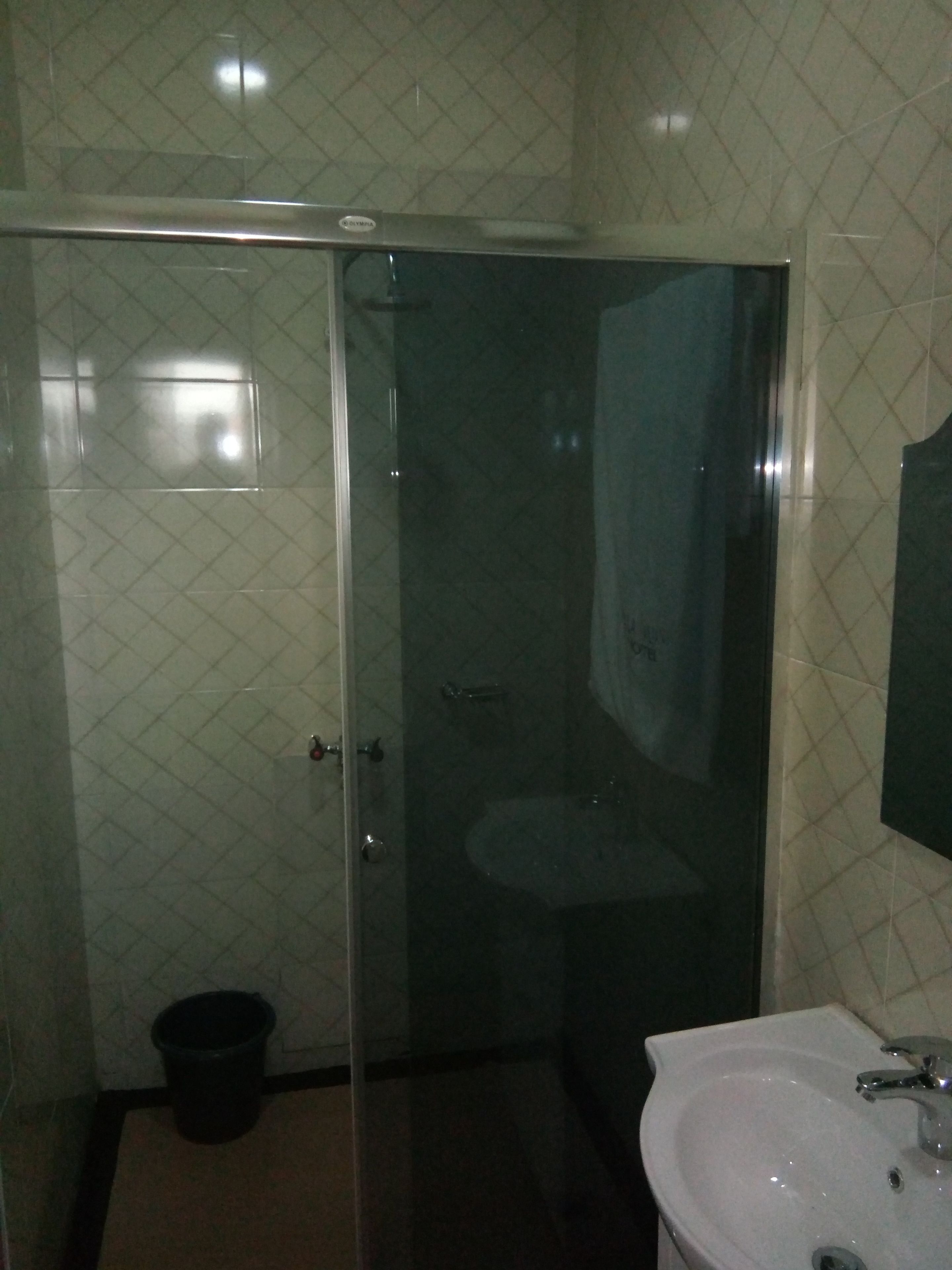A bathroom with a glass shower enclosure, a sink, and a toilet.