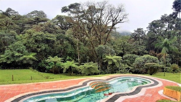 Outdoor pool - Mindo Loma Bird Lodge (Mindo)
