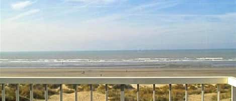 Apartment, 2 Schlafzimmer | Balkon