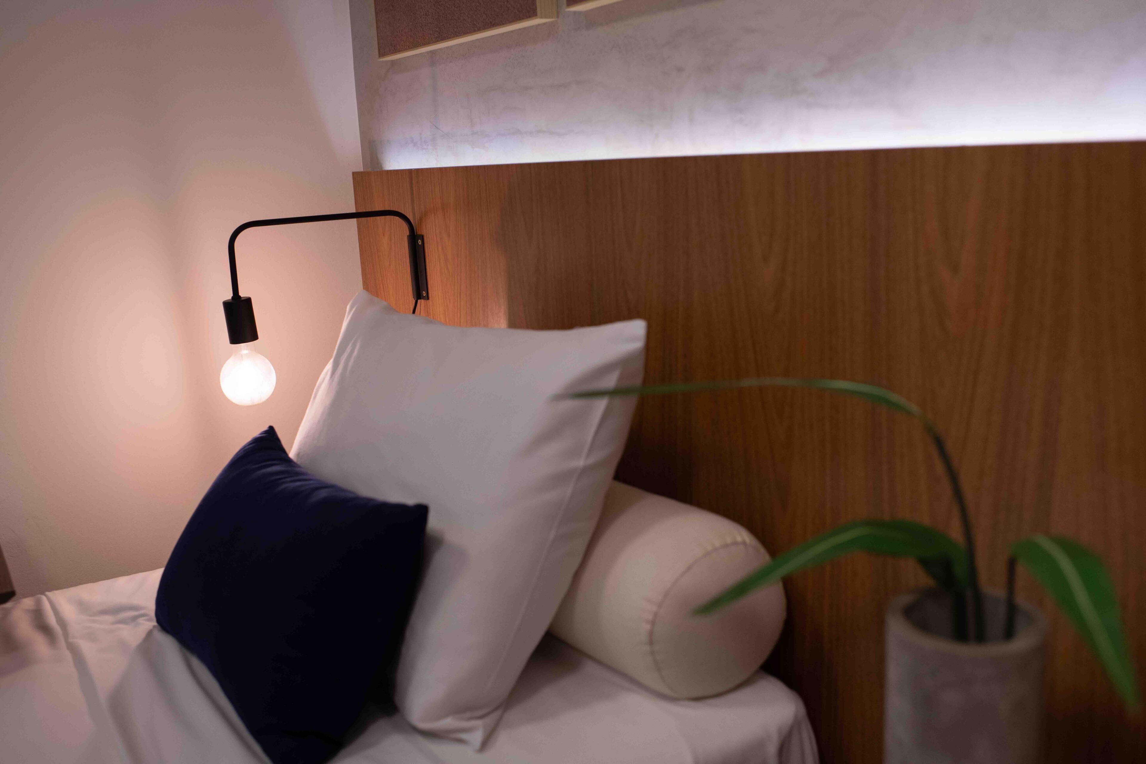 Un letto con cuscino bianco e blu scuro, una lampada da comodino e una pianta in vaso.