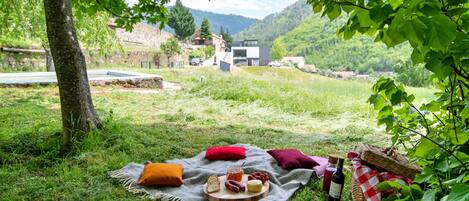 A picnic setup with food and a bottle on a blanket in a grassy area with trees and a mountain in the background.