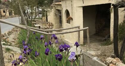 Aloe Logement Rural