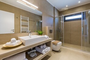 Ducha, secador de pelo, toallas, papel higiénico
