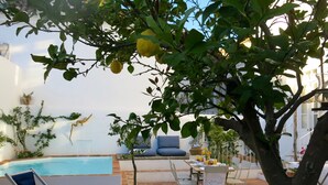 Un espace aménagé au bord de la piscine, avec une table et des chaises, un petit arbre aux citrons et un canapé bleu.
