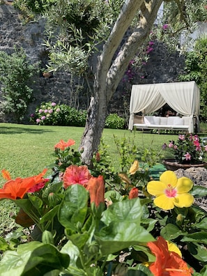 Garden - Agapanto Luxury Accommodation (Casamicciola Terme)
