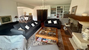 Un salon avec deux canapés, une table basse, une cheminée et une bibliothèque.